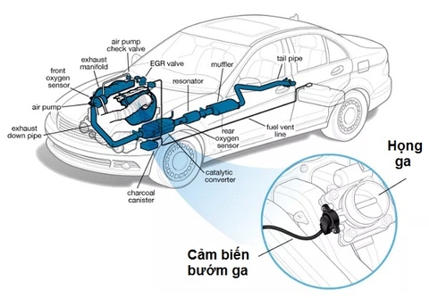 Cảm biến bướm ga