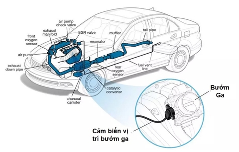 Cảm biến vị trí bướm ga: Cấu tạo, Nguyên lý, Tác dụng? Các hư hỏng và cách xử lý?