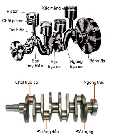 Trục cơ là gì ?