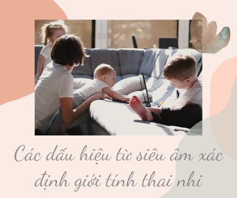 CÁC DẤU HIỆU TỪ SIÊU ÂM ĐỂ XÁC ĐỊNH GIỚI TÍNH CỦA THAI NHI