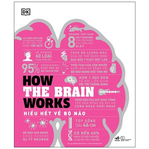 Sách - How the Brain Works - Hiểu biết về bộ não
