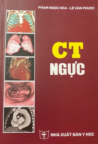 CT Ngực (HCM )