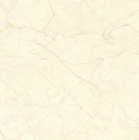 Gạch Granite 80x80cm Viglacera TB8857