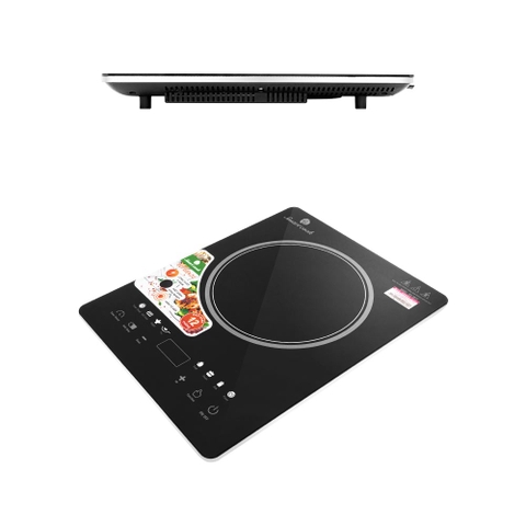 Bếp điện từ cảm ứng Elmich Smartcook ICS-3873 công suất 2100W