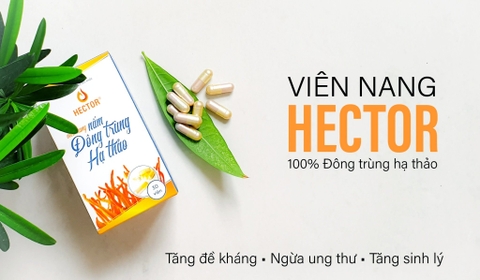 Đông Trùng Hạ Thảo Hector 100% nguyên chất trong một viên nang | Hộp 30 viên nang