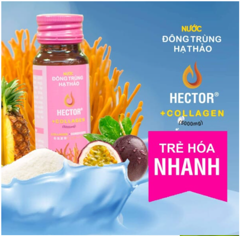 Nước Đông Trùng Hạ Thảo Hector Collagen - Hector Collagen