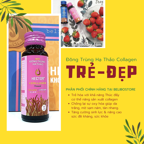 Nước Đông Trùng Hạ Thảo Hector Collagen - Hector Collagen