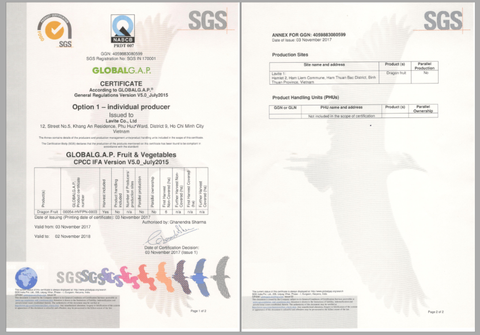 Đông Trùng Hạ Thảo Hector Sâm và Collagen đạt tiêu chuẩn quốc tế Cordyceps Ginseng dạng nước | Date mới chuẩn chính hãng