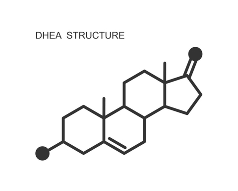 Bổ sung DHEA trong chống lão hóa