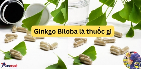 Ginkgo biloba là gì