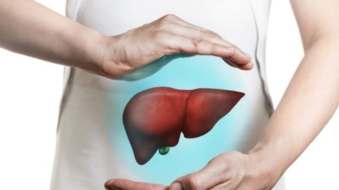 Giải đáp: Làm sạch gan liệu có thực sự giải độc?