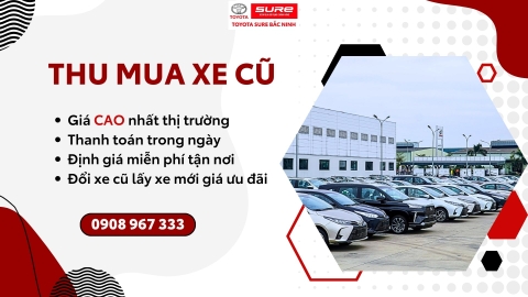 CẦN THU MUA SỐ LƯỢNG LỚN XE Ô TÔ ĐÃ QUA SỬ DỤNG