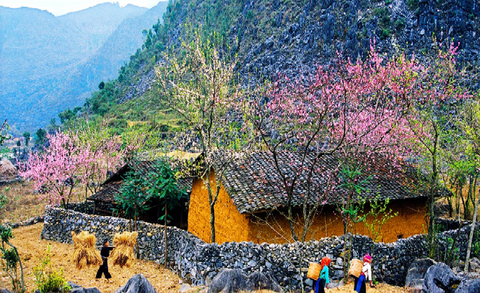 TOUR GHÉP: HẢI PHÒNG - HÀ GIANG - CAO NGUYÊN ĐÁ ĐỒNG VĂN - HẢI PHÒNG 3N2Đ
