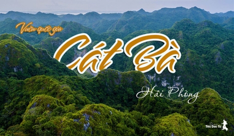 TOUR TREKKING VƯỜN QUỐC GIA CÁT BÀ 4 TIẾNG