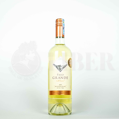 PASO GRANDE SAUVIGNON BLANC - WHITE