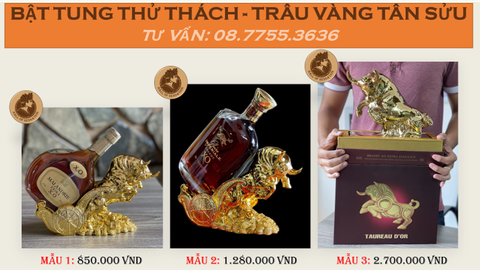 BẬT TUNG THỬ THÁCH - TRÂU VÀNG TÂN SỬU