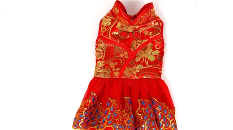 Váy Họa Tiết Chim Công - Thời Trang Tết Cho Chó Mèo