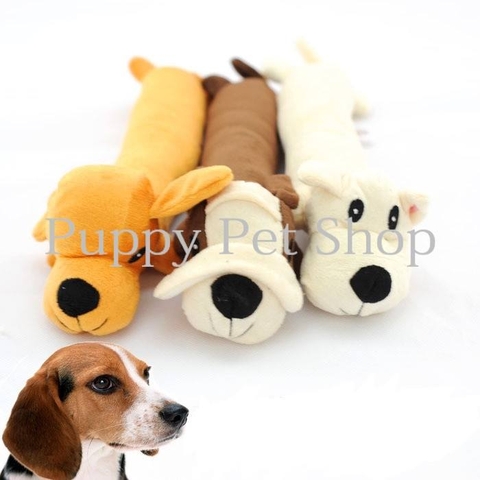 Chó bông người dài chân ngắn đâyy