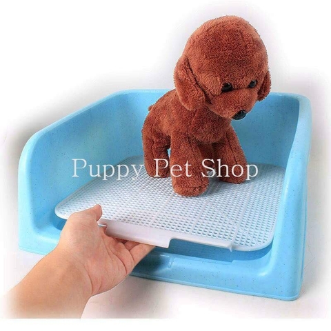 ♻Khay Vệ Sinh Đúng Chỗ Có Thành Cho Chó Đực 🐕