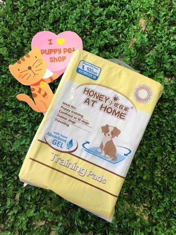 🐾Miếng lót vệ sinh Honey at Home💦