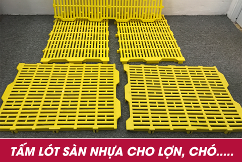 Tấm Pallet nhựa lót chuồng trại