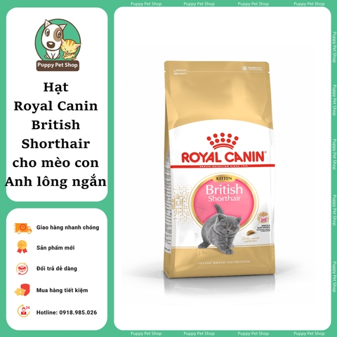 Thức ăn cho Mèo Con Anh Lông Ngắn Royal Canin British Shorthair Kitten