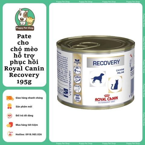 Pate cho Mèo dạng hộp kích thích vị giác - Royal Canin Recovery 195g