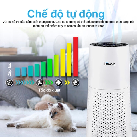 6 lý do khiến bạn tin dùng máy lọc không khí Levoit