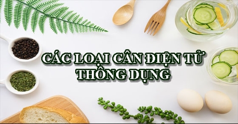 Các loại cân điện tử thông dụng đang có hiện nay