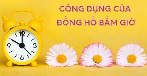 Công dụng tuyệt vời mà chiếc đồng hồ bấm giờ mini mang đến cho bạn