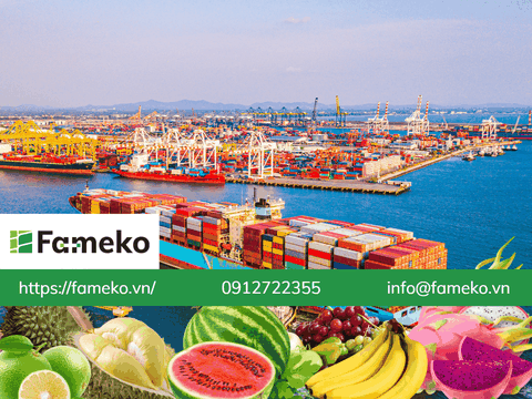 Cùng xuất khẩu nông sản đi Trung Quốc, Việt Nam xây dựng chính sách trên đường đua với Thái Lan