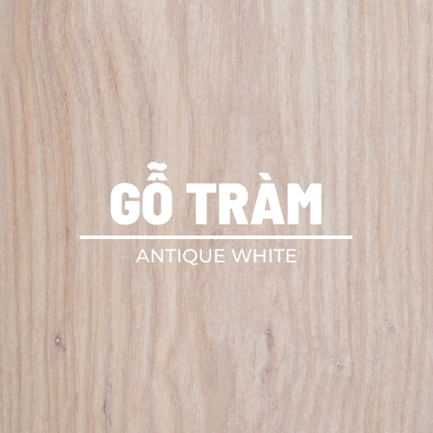 mau ANTIQUE WHITE tren go tram