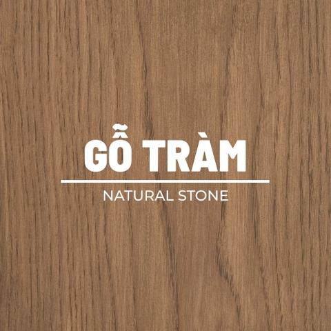 mau Natural Stone tren go tram