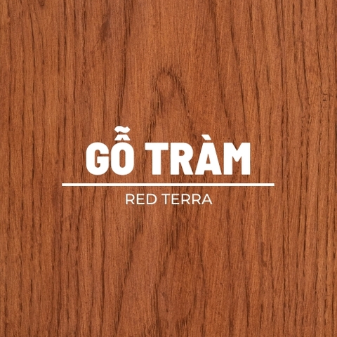 mau red terra tren go tram