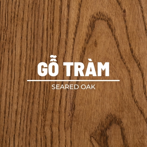 mau SEARED OAK tren go tram