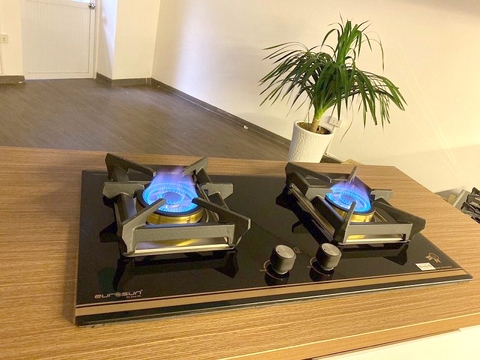 Bếp gas âm Eurosun EU-GA291D - GIẢM THÊM TIỀN MẶT