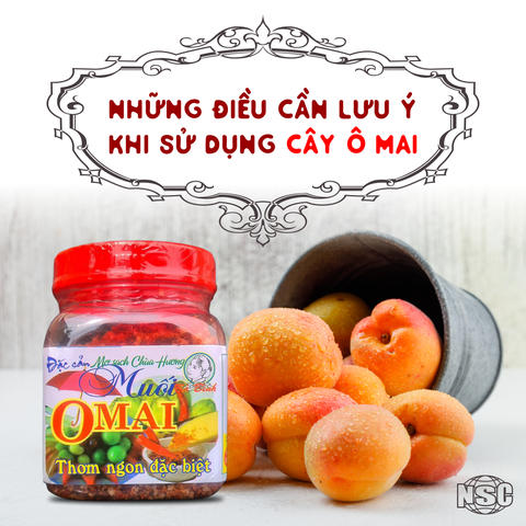 NHỮNG ĐIỀU CẦN LƯU Ý KHI SỬ DỤNG CÂY Ô MAI