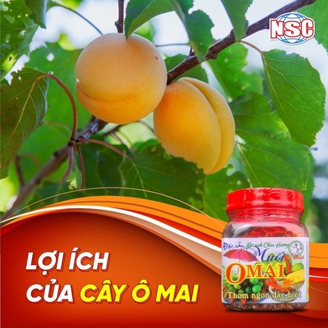 Lợi ích của cây Ô Mai