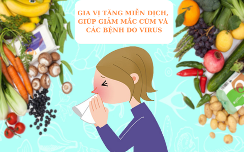 GIA VỊ TĂNG MIỄN DỊCH, GIÚP GIẢM MẮC CÚM VÀ CÁC BỆNH DO VIRUS