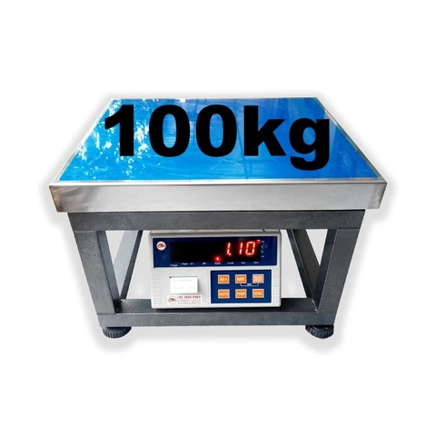 Cân Ghế Điện Tử 100kg In Tem Dán Yaohua PWE100-G45