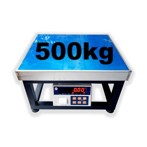 Cân Ghế Điện Tử 500kg In Tem Dán Yaohua PWE500-G56