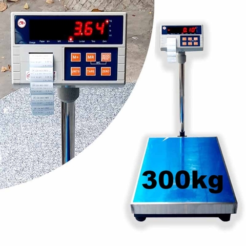 Cân Bàn Điện Tử 300kg In Tem Dán Yaohua PWE300-B56