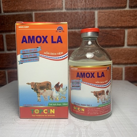 topcin-amox-la-100ml-01