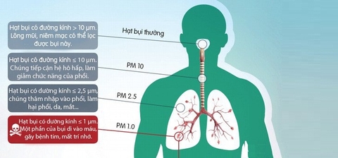 Bụi siêu mịn: Những sát thủ vô hình và nguy hiểm - Phần 1