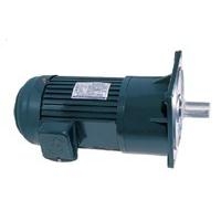 Motor hộp giảm tốc mặt bích trục thẳng 5,5KW/7HP