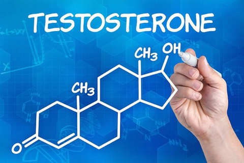 Testosterone là gì? Cách tăng testosterone nam giới hiệu quả?