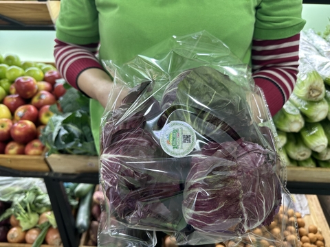 Xà lách radichio (Cuộn tím)