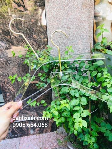 Móc áo Mika trong suốt