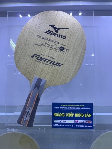 Mizuno Fortius