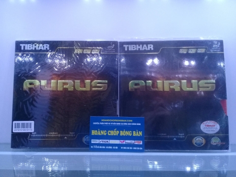 Tibhar Aurus